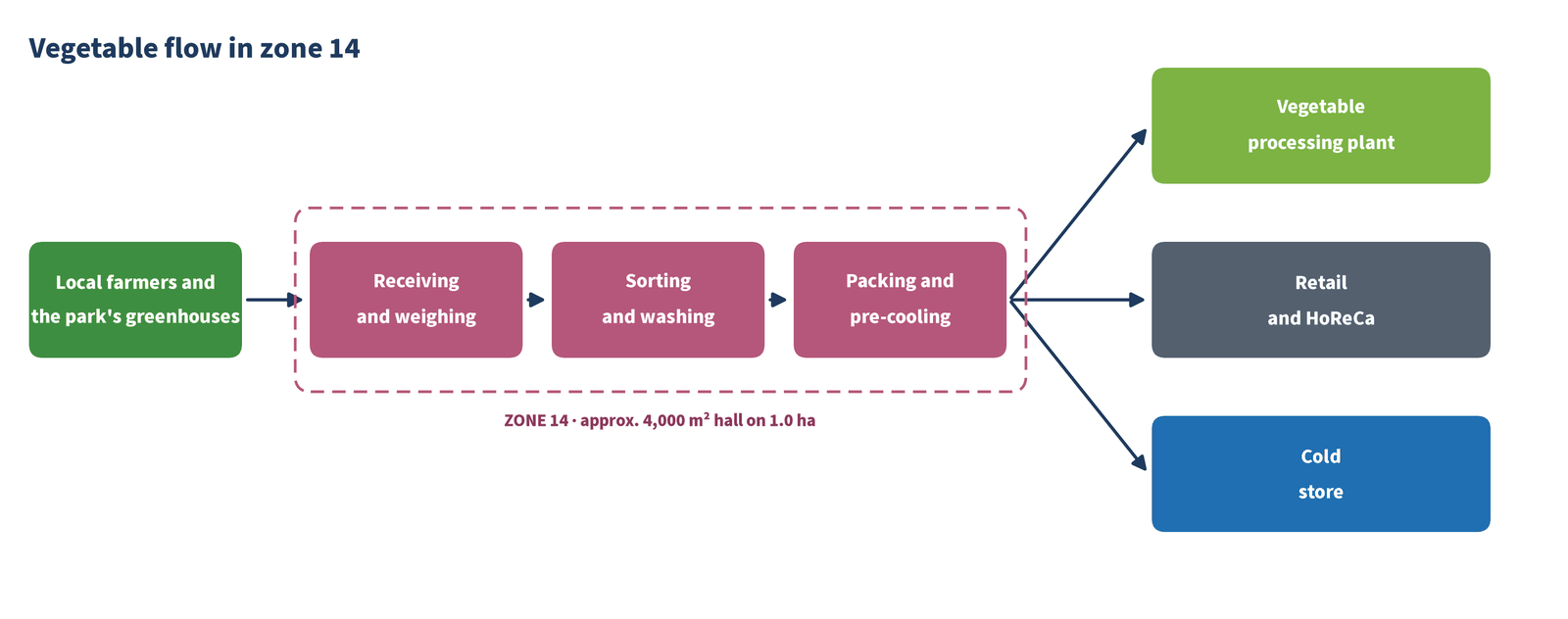 Vegetable flow in zone 14: farmers and greenhouses, receiving, sorting and washing, packing and pre-cooling, then the processing plant, shops and the cold store