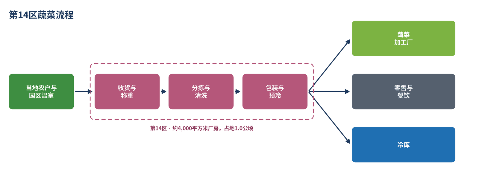第14区蔬菜流程：农户与温室、收货、分拣与清洗、包装与预冷，然后送往加工厂、商店和冷库